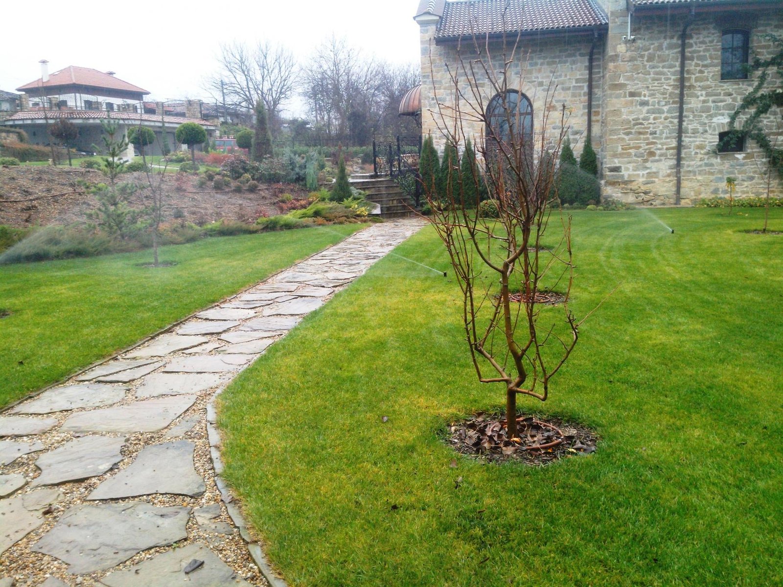 Снимки Галерия