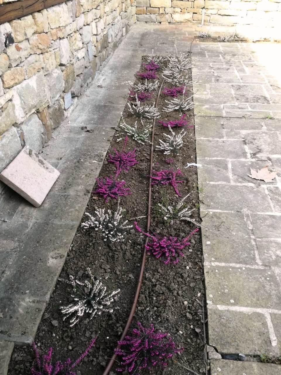 Снимки Галерия